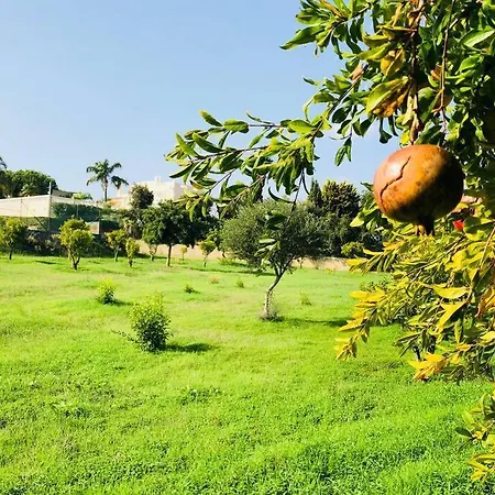 Willa Paraiso Lagoa (Algarve)
